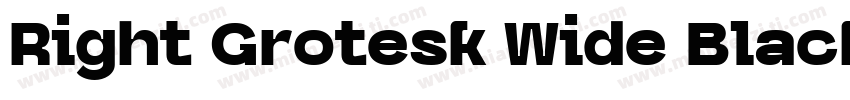 Right Grotesk Wide Black字体转换